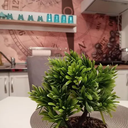 شقة Mulen Ruz Simic *