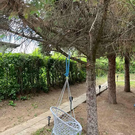 Mulen Ruz Simic جولوباك