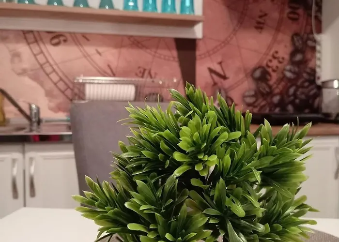 アパート Mulen Ruz Simic *